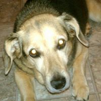 Nancy Busch Photo 19