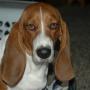 Vickie Reynolds Photo 15