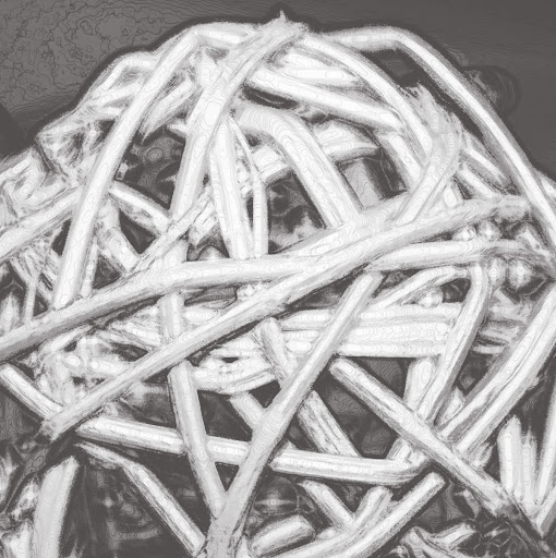 Julie Murphy Photo 5