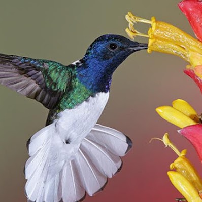 Hilda Toledo Photo 5