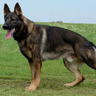 Tracie King Photo 12