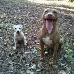 Andres Jimenez Photo 13