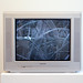 Steven Vetter Photo 27