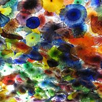 Vicky Padilla Photo 9