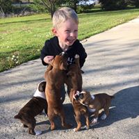 Stephanie Sill Photo 9