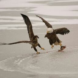 Steven Francis Photo 10