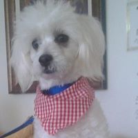 William Callahan Photo 46