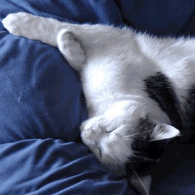 Carolyn Duncan Photo 40