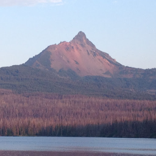 Henry Morton Photo 10 Henry Morton Photo 10