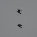 Gary Jaeger Photo 10