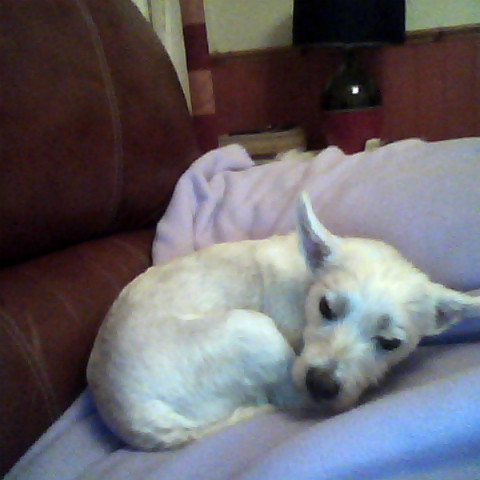 Jill O'Grady Photo 2