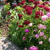 Joanne Meyer Photo 11