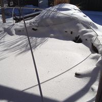 Cynthia Baughman Photo 9