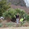 Aimee Harris Photo 17