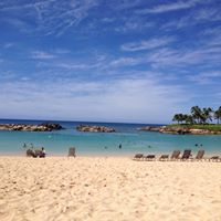 Jan Robertson Photo 4