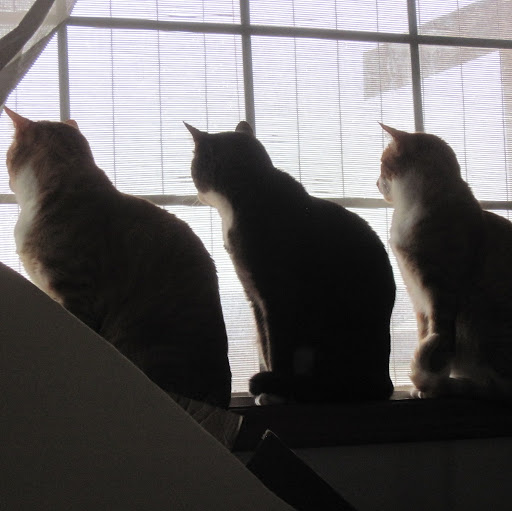 Annette Gunderson Photo 4