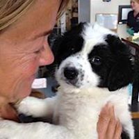 Laurie Hess Photo 33