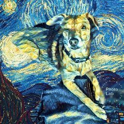 Janine Morris Photo 8