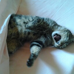 Pamela Fiore Photo 1