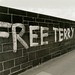 Terry Fields Photo 35