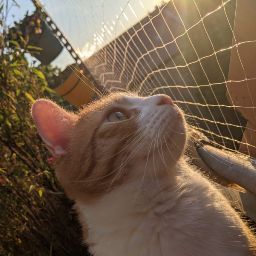 Stephan Wagner Photo 18