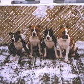 Jean Harvey Photo 26