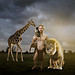 Stephen Heck Photo 31