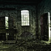 Peter Schwarz Photo 25