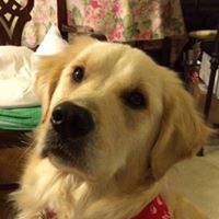 Rachel Self Photo 27