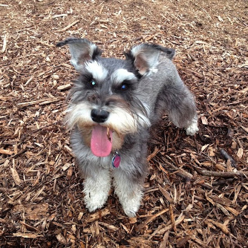 Shawna Marshall Photo 12