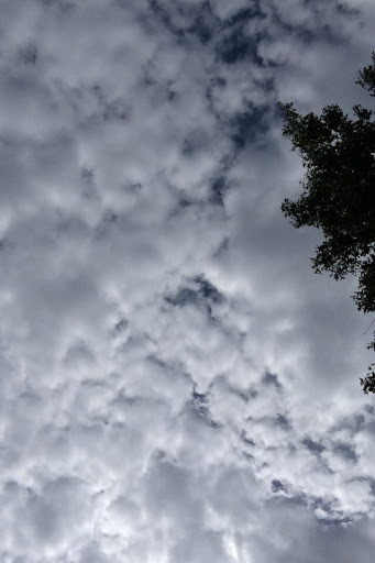 Erin Schmidt Photo 21