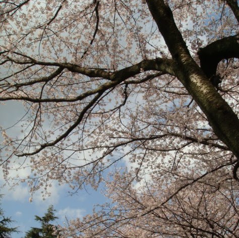 Xin Jiang Photo 35