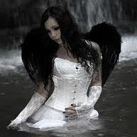 Colleen Reed Photo 24 Colleen Reed Photo 24