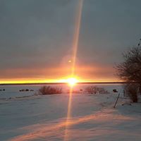Steven Ernst Photo 31