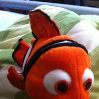 Aaron Rhodes Photo 28 Aaron Rhodes Photo 28