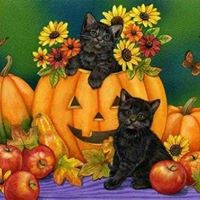 Debbie Knuth Photo 10