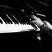 Steven Snyder Photo 33