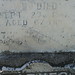 Ann Barnes Photo 11
