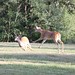 Chas Buck Photo 6
