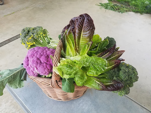 Susan Jensen Photo 45