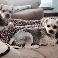 Debra Mccraven Photo 1