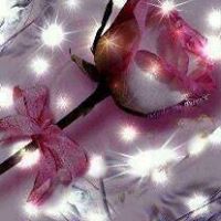 Regina Harvey Photo 13