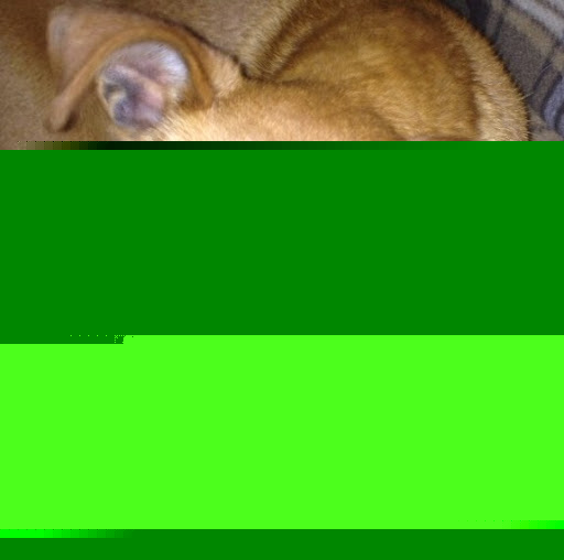 Katherine Joyce Photo 19