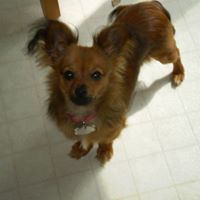 Debra Reed Photo 7