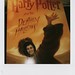 Suzanne Potter Photo 18