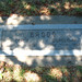 Carl Grove Photo 16