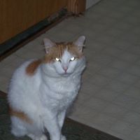 Michele Combs Photo 21