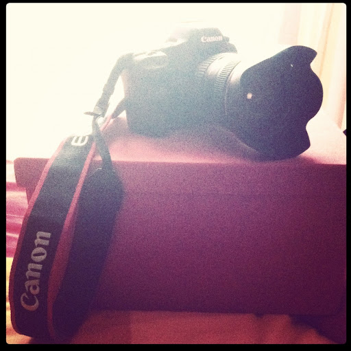 Roberta Valenti Photo 7