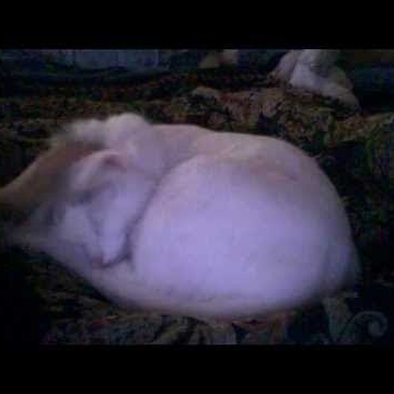 Annie Walters Photo 27