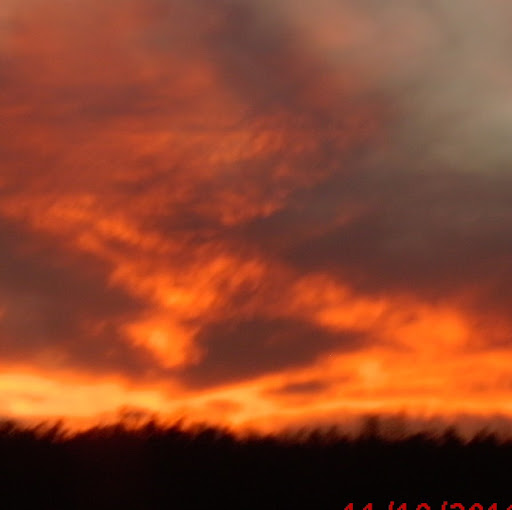 Lynn Garner Photo 29